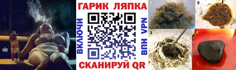 Купить закладки  Подпорожье  ГАШИШ AMNESIA HAZE 