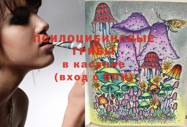 первитин Богданович