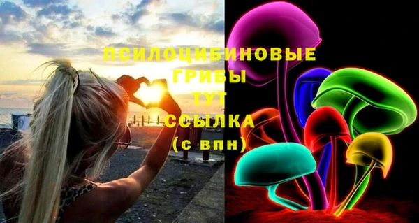 ешки Богородицк