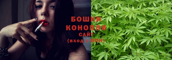первитин Богданович