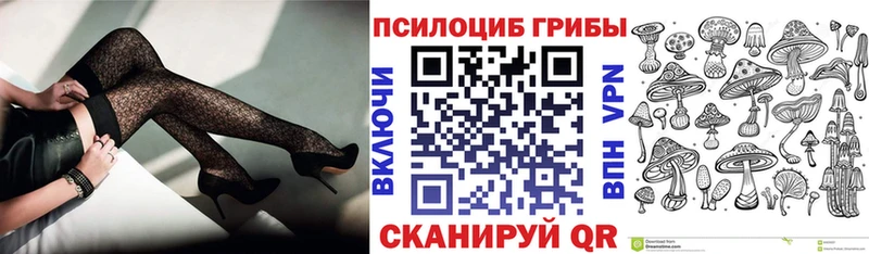 Галлюциногенные грибы прущие грибы  Купить закладки  Подпорожье 
