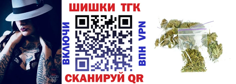 Бошки марихуана THC 21%  Купить закладки  Подпорожье 